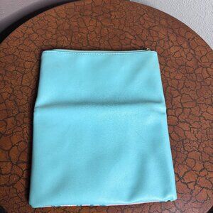 Clutch or Makeup bag